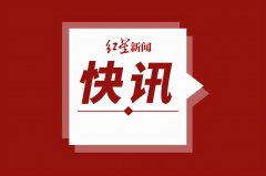 “28亿存款质押”印章涉及伪造