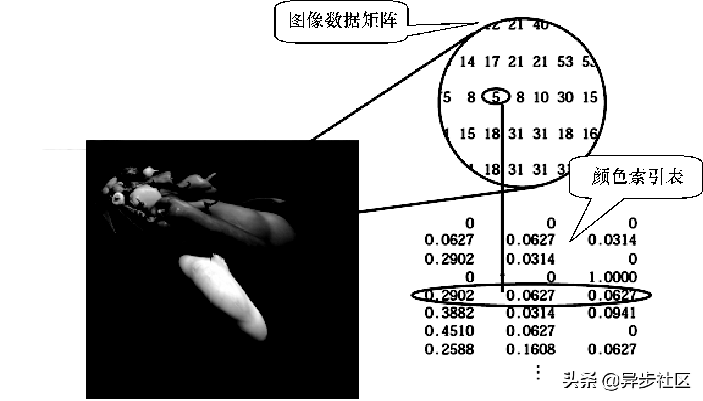 matlab函数图像标点（讲解matlab常用函数大全）