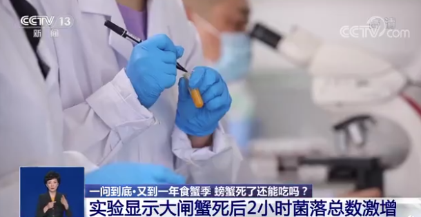 中国水产研究院实验：螃蟹死后2小时、5小时、24小时的食用风险多高？