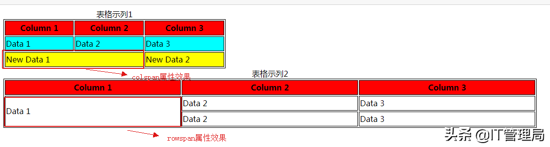 html文字上下居中代码（html零基础入门教程）