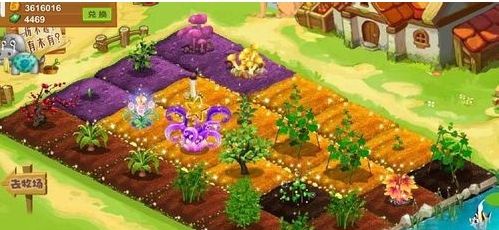 手机qq农场作物经验表（qq农场作物成熟时间表）