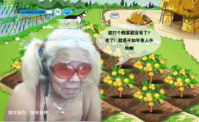 手机qq农场作物经验表（qq农场作物成熟时间表）