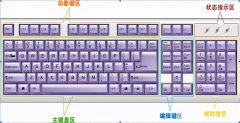 键盘指法教程_初学者电脑打字基础知识