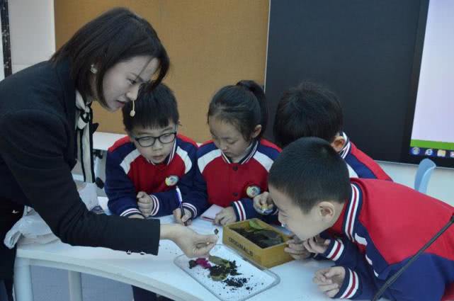 女人做什么行业最挣钱没学历（最适合女人赚钱的行业）