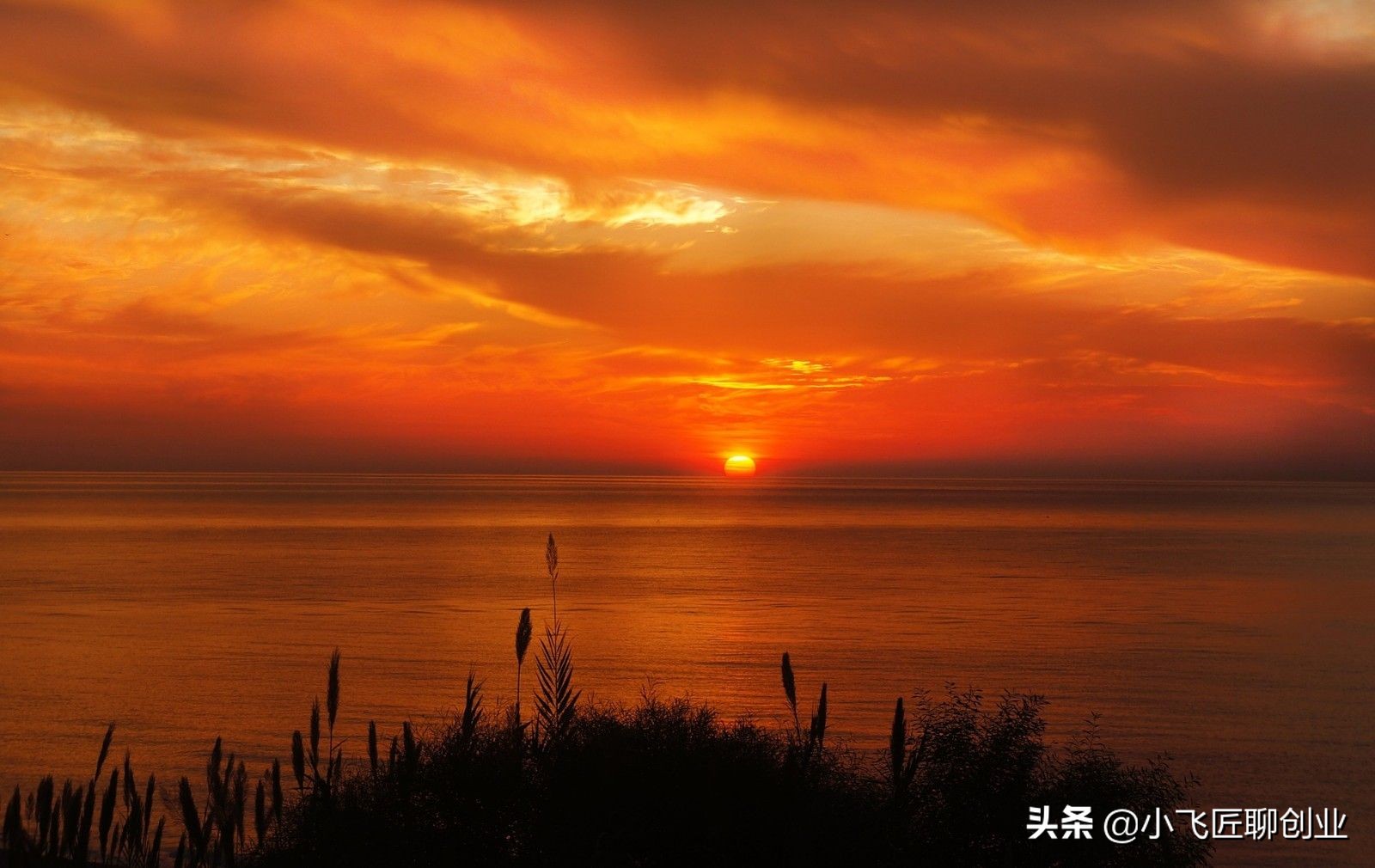 怎么能快速赚钱的方法（0元投资在家就能赚钱）