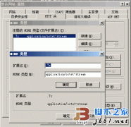 iis支持7z格式文件下载设置