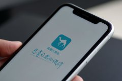 七夕情侣主题酒店数据：8%房间被中老年人订走