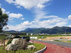 “四季田园，农旅小镇”，来武平你不可错过的景观道，走起！