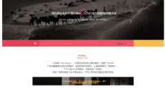 网站内容更新规范