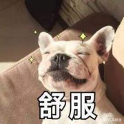 “ 一乙菜场”的抖音账号运营是怎么做的？