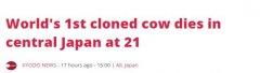 世界首例体细胞克隆牛“加贺”去世，寿命达21岁