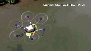 为了盯住神出鬼没的鳄鱼，澳大利亚部署了100架AI无人机