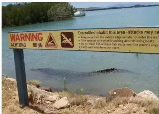 为了盯住神出鬼没的鳄鱼，澳大利亚部署了100架AI无人机