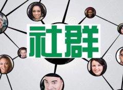 社群营销—方法、技巧、实战