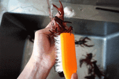 文案中如何讲好故事？