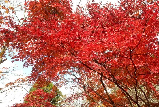 公司网站维护如何做?企业网站维护的十个方面 公司网站维护如何做?企业网站维护的十个方面