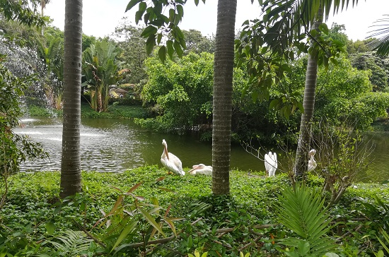 如何做网络品牌推广?品牌营销推广6大方法 如何做网络品牌推广?品牌营销推广6大方法