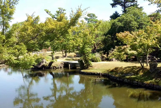 网页快照更新多久一次?快照不更新咋办? 网页快照更新多久一次?快照不更新咋办?