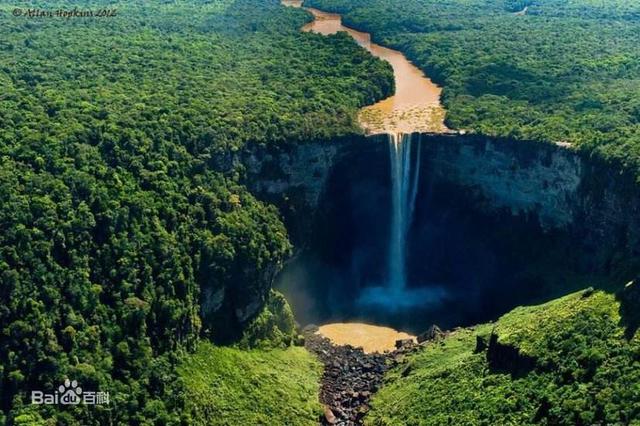 2020年版,品牌策划书范文