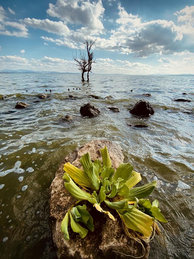 如何拍出刷爆社交平台的城市照？iPhone 获奖摄影师告诉你