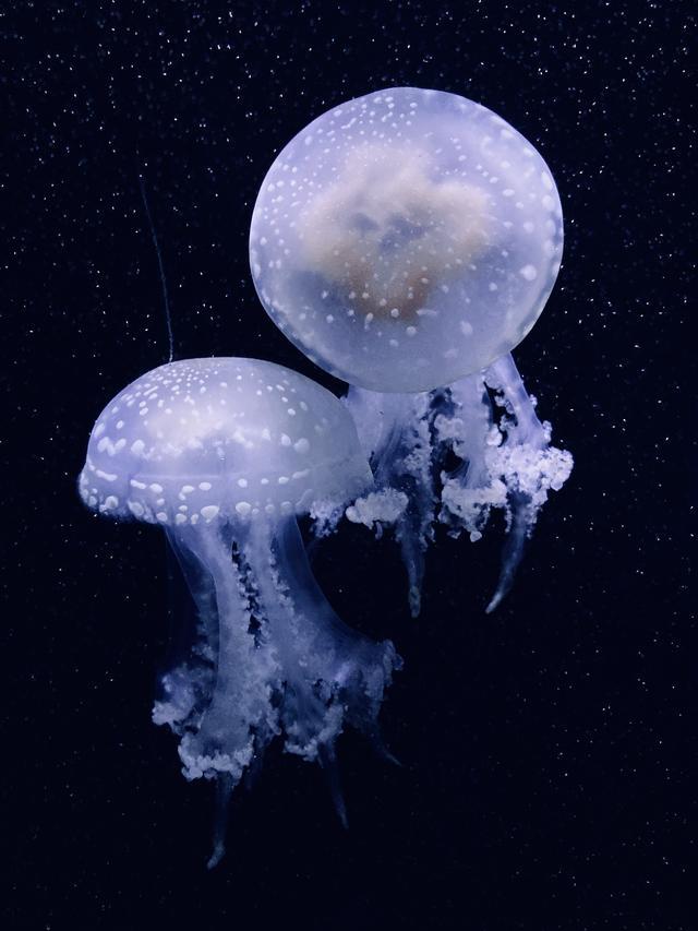 如何拍出刷爆社交平台的城市照？iPhone 获奖摄影师告诉你