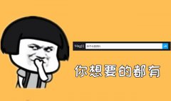 史上最强搜索引擎！太刺激了，黑历史随便查