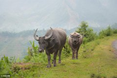 任正非：“底薪+提成”是慢性毒药，换了种模式，员工主动干了