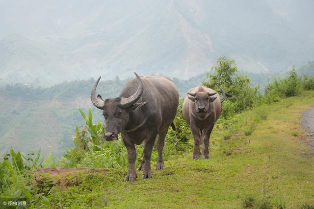 任正非：“底薪+提成”是慢性毒药，换了种模式，员工主动干了