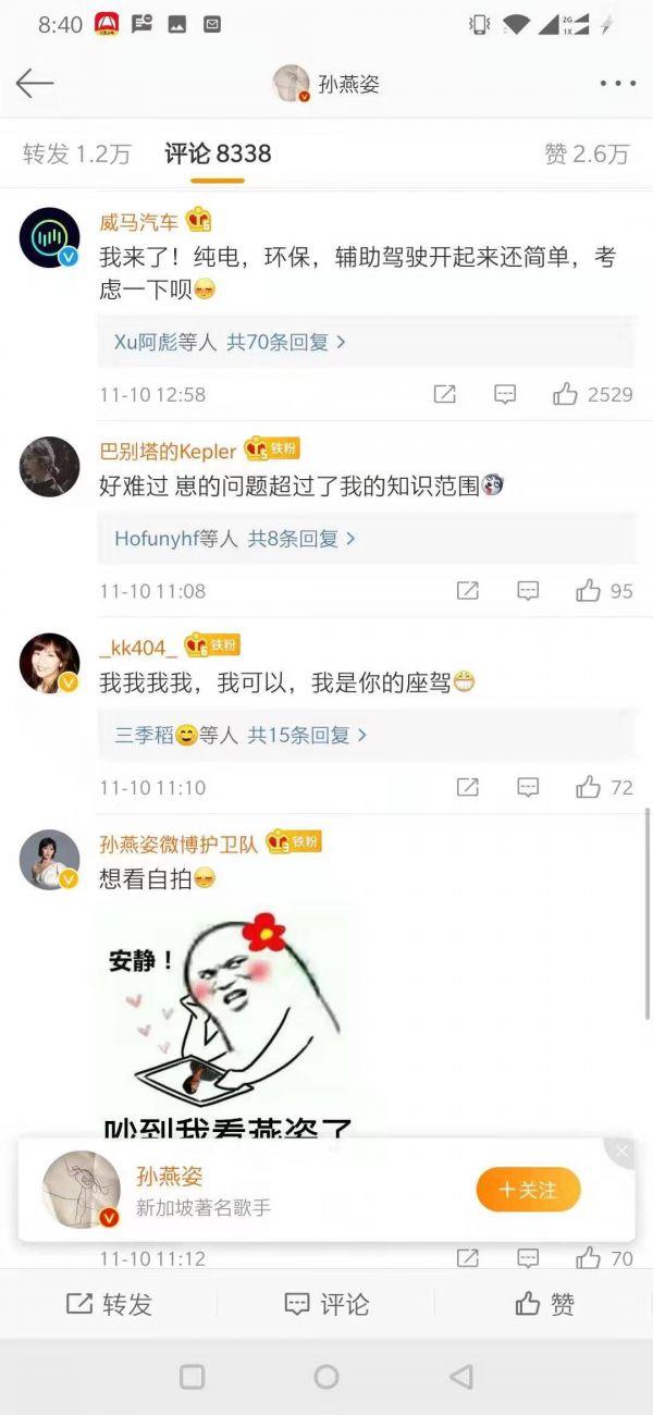 孙燕姿发博求推荐新能源汽车，多家车企老总纷纷亲自上阵推销