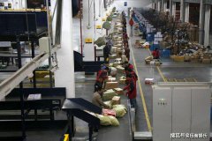 双十一快递被烧年年有，好像今年特别多？运费险保你包裹一命！