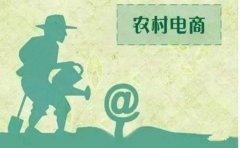 “互联网+农产品”，三大模式能打开销路
