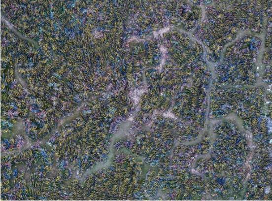 缅甸收购中国几万辆共享单车，到底用来干嘛？看完有点感动