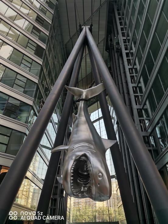 华为nova 5z热销的背后：超高性价比使然