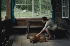 VIPKID融资暂停的事故与故事