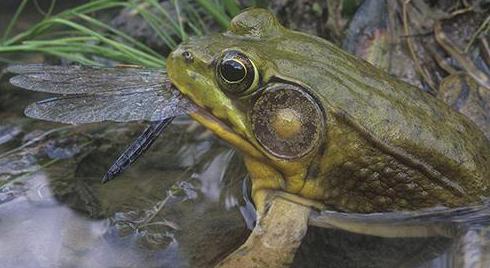 从井水不犯河水，到“大打出手”，二马相争的“硝烟”才刚刚开始