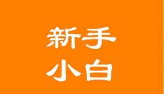 seo排名优化课程:小白入门SEO了解专业排名优化