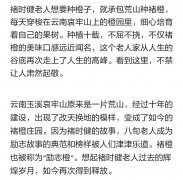 用上这5个原则，没有文采也能写出让人想下单的文案故事
