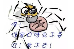 满足百度蜘蛛对全站的爬行，简单策略是从深度抓取与广度抓取