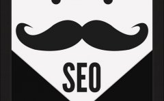 SEO网站分析方案