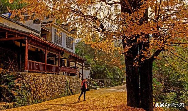 在“互联网+”时代，智慧养老成未来养老新趋势