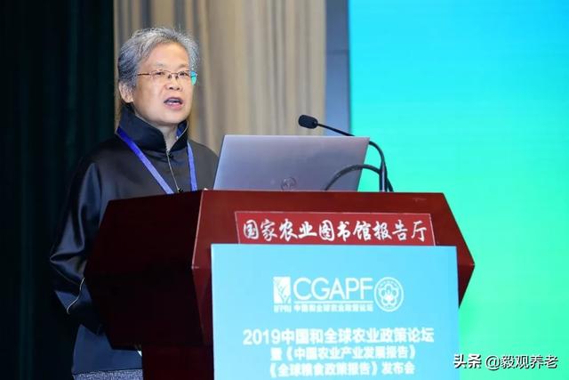 朱玲：社区养老院的临终关怀和哀伤管理