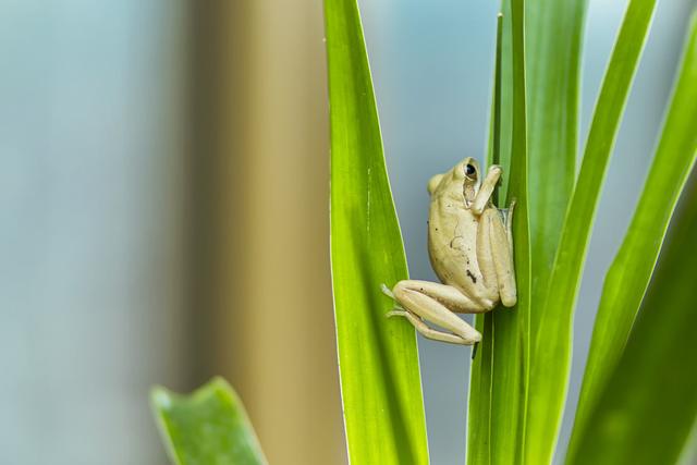 老板让员工每天写工作日报？华为任正非：不增值管理应该消亡