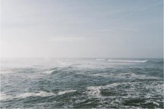 业内人士认为：磷酸铁锂电池将凭自身优势占据市场一席之地