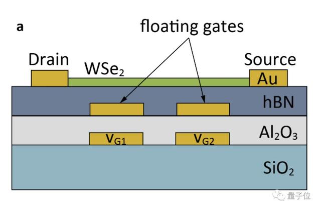 AI芯片新思路：眼睛即大脑，40纳秒完成图像分类｜Nature