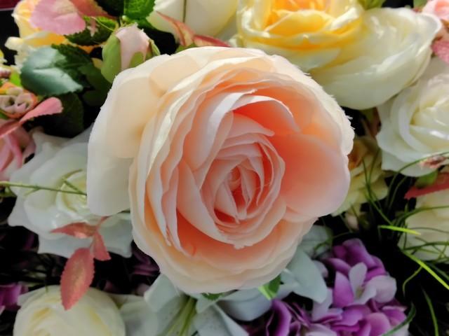 OPPO Find X2 Pro全面评测：久违的极致旗舰