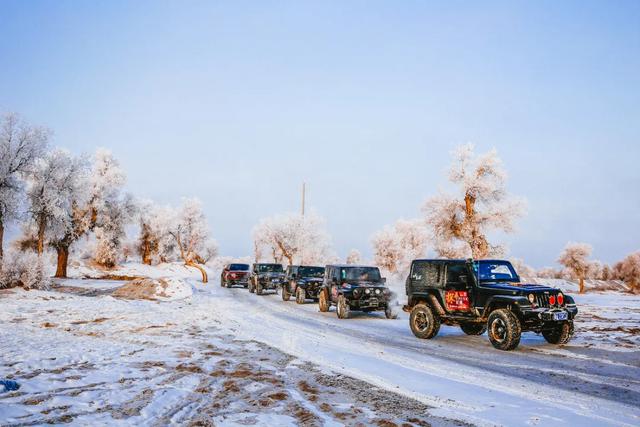尼雅五星东方中的“千年尼雅”今天什么样？