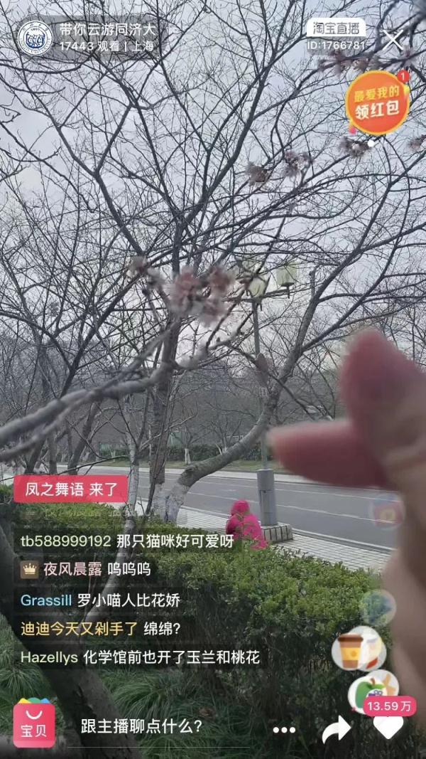 想念就见！超30万人“云游高校”，你在线表白学校了吗？
