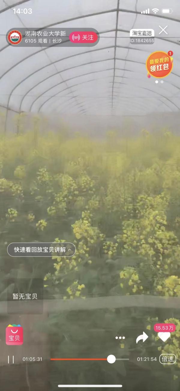 想念就见！超30万人“云游高校”，你在线表白学校了吗？