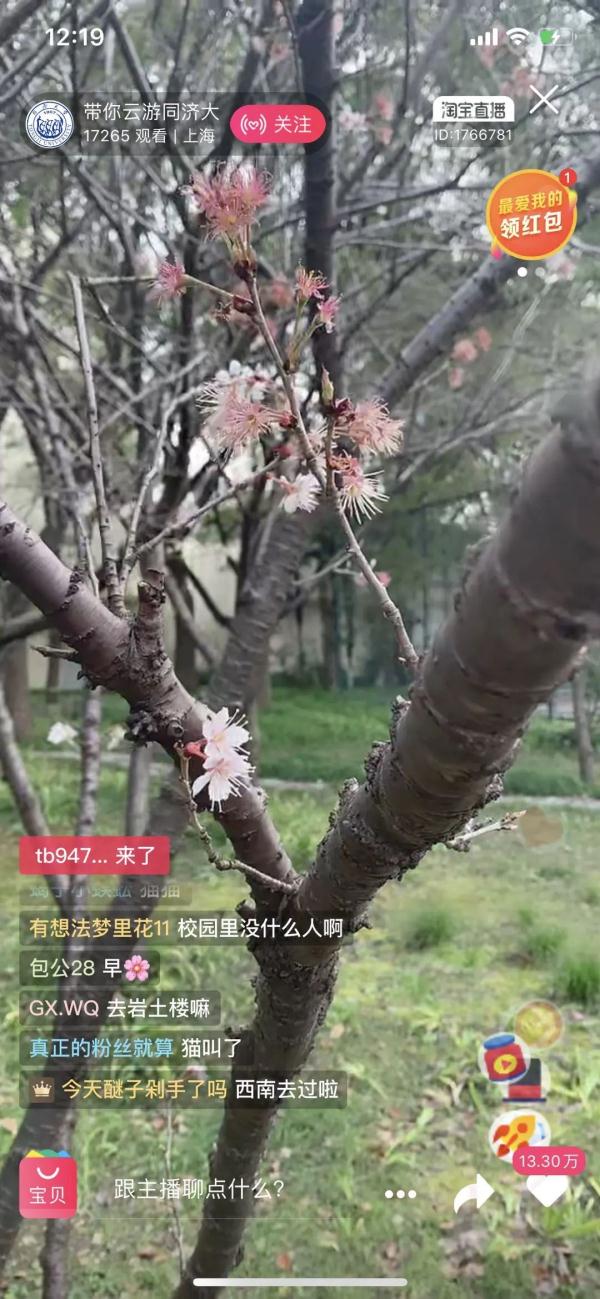 想念就见！超30万人“云游高校”，你在线表白学校了吗？