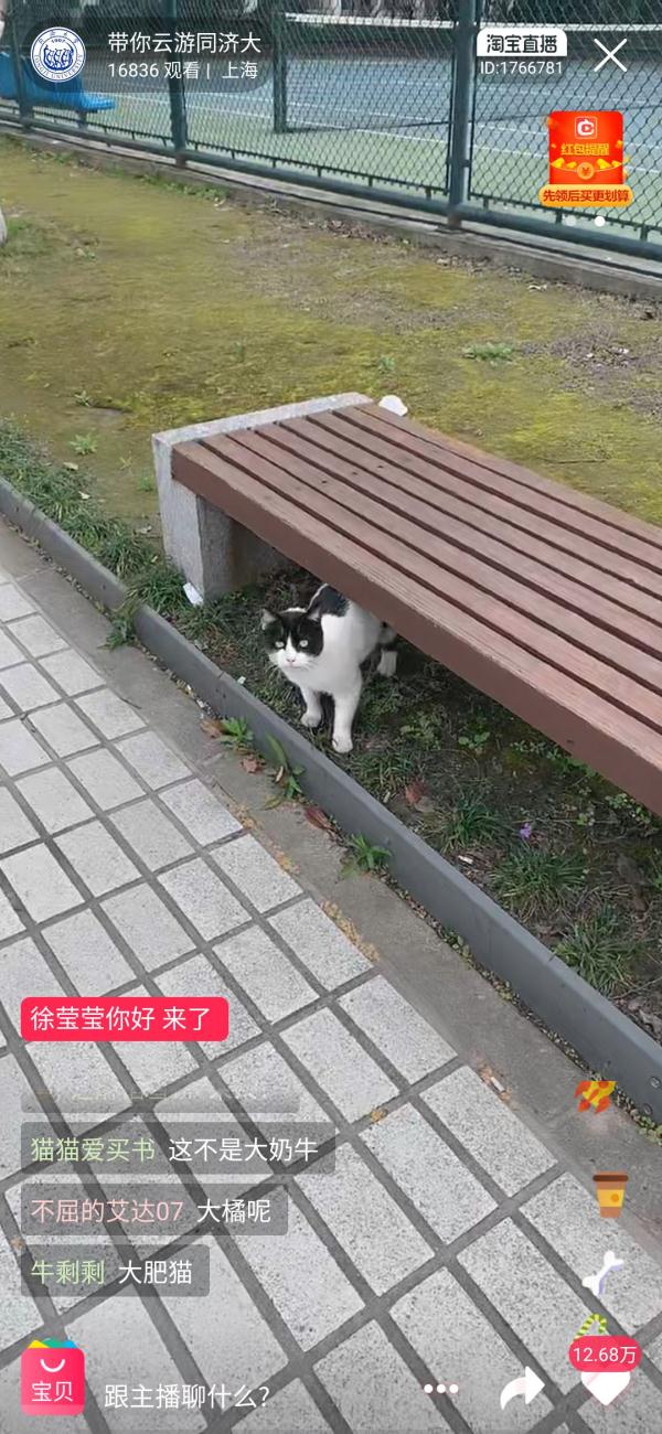 想念就见！超30万人“云游高校”，你在线表白学校了吗？